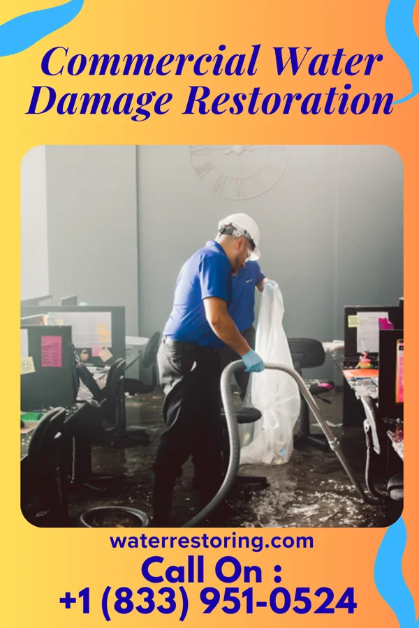 Commercial Water Damage Restoration in Virgil, KS