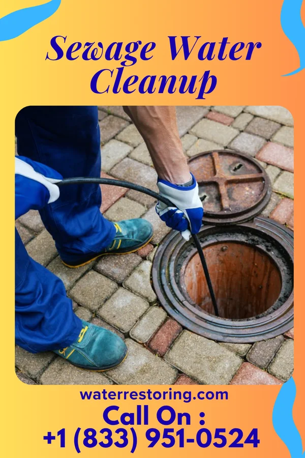 Sewage Water Cleanup in Virgil, KS